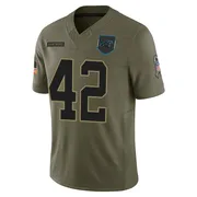Men's Nike Carolina Panthers Cam Miller Olive 2025 Salute to Service Jersey - Limited