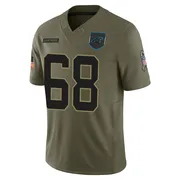 Men's Nike Carolina Panthers Damien Lewis Olive 2025 Salute to Service Jersey - Limited