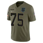 Men's Nike Carolina Panthers DeShawn Williams Olive 2025 Salute to Service Jersey - Limited