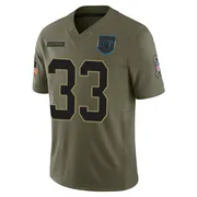Men's Nike Carolina Panthers Israel Mukuamu Olive 2025 Salute to Service Jersey - Limited