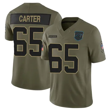 Men's Nike Carolina Panthers Ja'Tyre Carter Olive 2025 Salute to Service Jersey - Limited