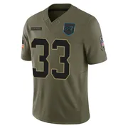 Men's Nike Carolina Panthers Robert Rochell Olive 2025 Salute to Service Jersey - Limited