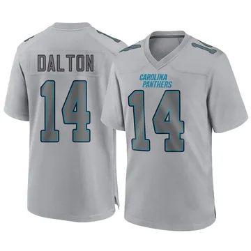 Youth Nike Carolina Panthers Andy Dalton Gray Atmosphere Fashion Jersey - Game
