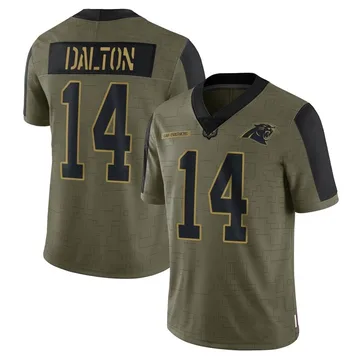 Youth Nike Carolina Panthers Andy Dalton Olive 2021 Salute To Service Jersey - Limited