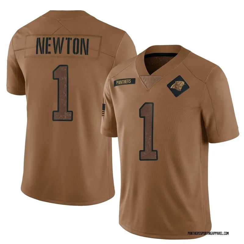 Youth Nike Carolina Panthers Cam Newton Brown 2023 Salute To Service Jersey - Limited