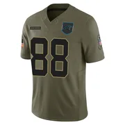 Youth Nike Carolina Panthers Dan Chisena Olive 2025 Salute to Service Jersey - Limited