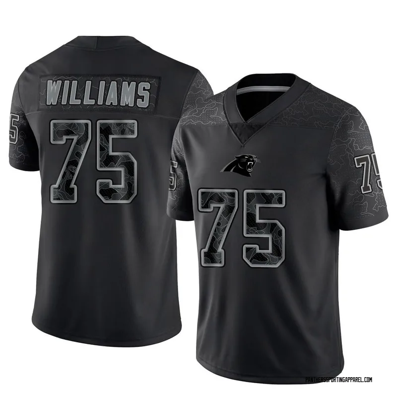 Youth Nike Carolina Panthers DeShawn Williams Black Reflective Jersey - Limited