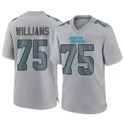 Youth Nike Carolina Panthers DeShawn Williams Gray Atmosphere Fashion Jersey - Game