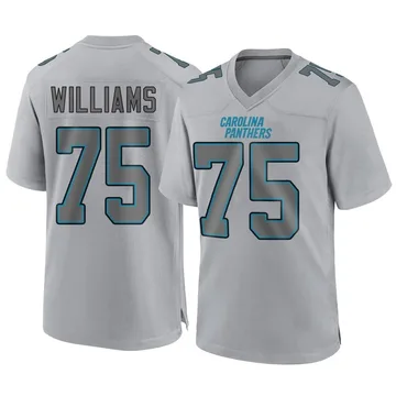 Youth Nike Carolina Panthers DeShawn Williams Gray Atmosphere Fashion Jersey - Game