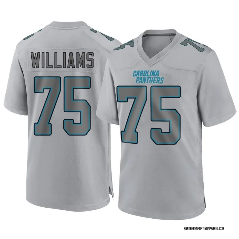 Youth Nike Carolina Panthers DeShawn Williams Gray Atmosphere Fashion Jersey - Game