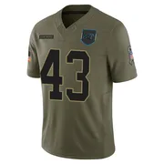 Youth Nike Carolina Panthers DeVonta Smith Olive 2025 Salute to Service Jersey - Limited