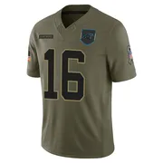 Youth Nike Carolina Panthers Haynes King Olive 2025 Salute to Service Jersey - Limited