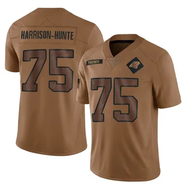 Youth Nike Carolina Panthers Jared Harrison-Hunte Brown 2023 Salute To Service Jersey - Limited
