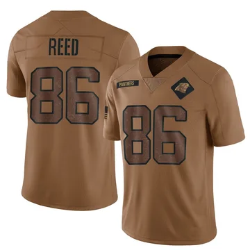 Youth Nike Carolina Panthers Ja'seem Reed Brown 2023 Salute To Service Jersey - Limited
