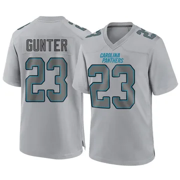 Youth Nike Carolina Panthers LaDarius Gunter Gray Ladarius Gunter Atmosphere Fashion Jersey - Game