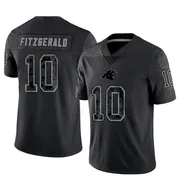 Youth Nike Carolina Panthers Ryan Fitzgerald Black Reflective Jersey - Limited