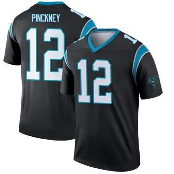 Youth Nike Carolina Panthers Sam Pinckney Black Jersey - Legend