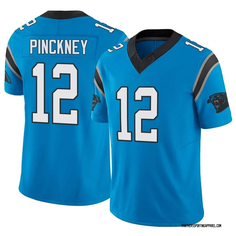 Youth Nike Carolina Panthers Sam Pinckney Blue Vapor F.U.S.E. Jersey - Limited