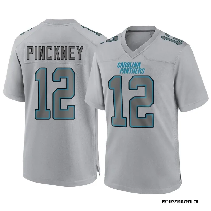 Youth Nike Carolina Panthers Sam Pinckney Gray Atmosphere Fashion Jersey - Game