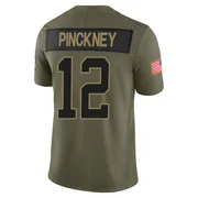 Youth Nike Carolina Panthers Sam Pinckney Olive 2025 Salute to Service Jersey - Limited